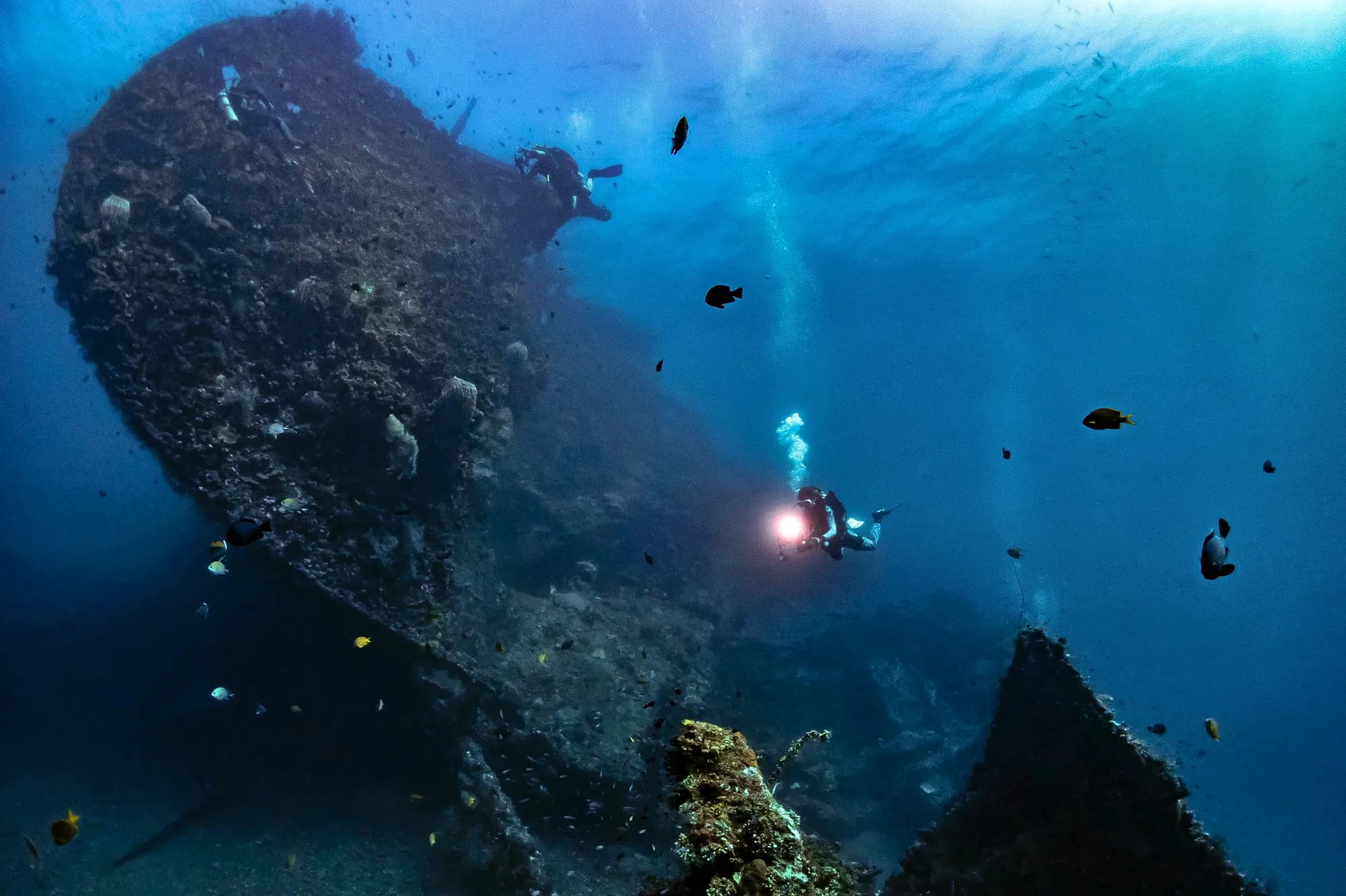 Diving scene 1